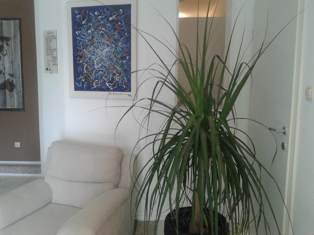 Apartment&Room Romano 马图利 外观 照片